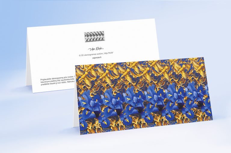 Blue irises 3d stereogram greeting card with envelope