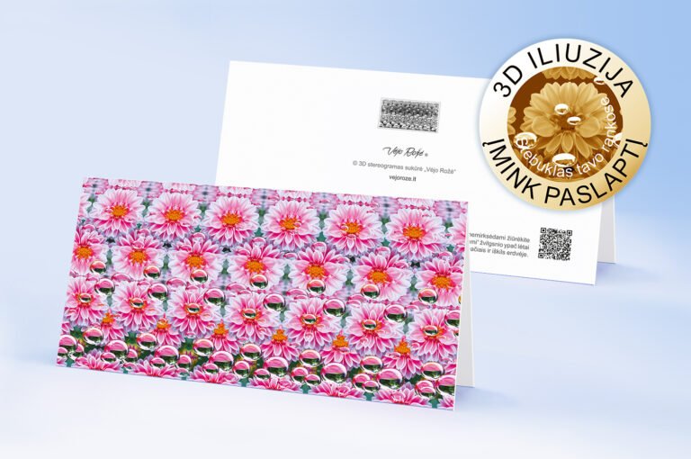 Pink dahlias 3d stereogram greeting card with envelope 0 lt