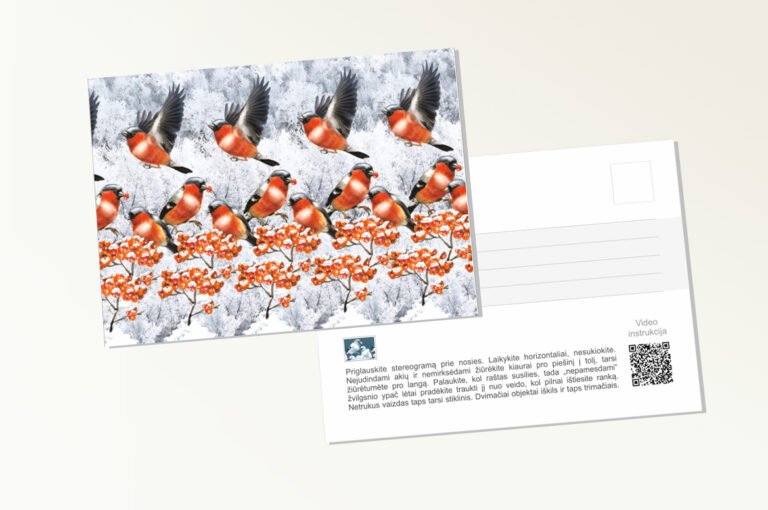 Postcard bullfinches 3d stereogram
