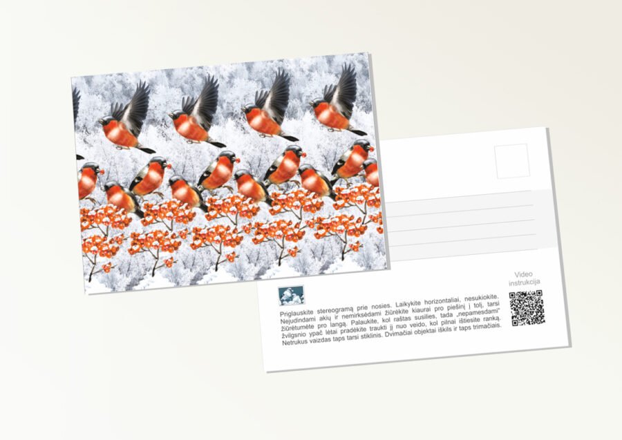 Postcard bullfinches 3d stereogram