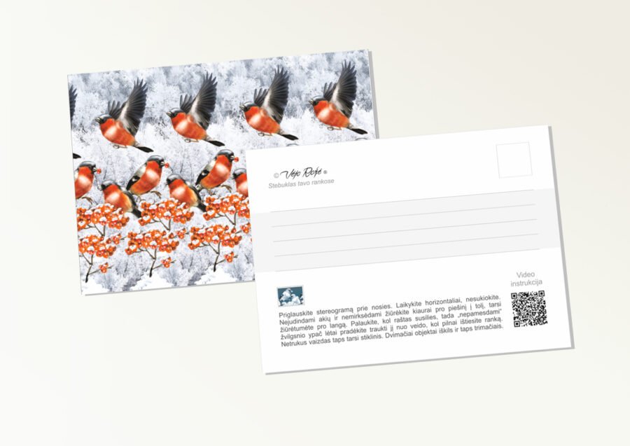 Postcard bullfinches 3d stereogram
