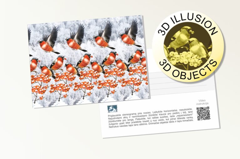 Postcard bullfinches 3d stereogram 2