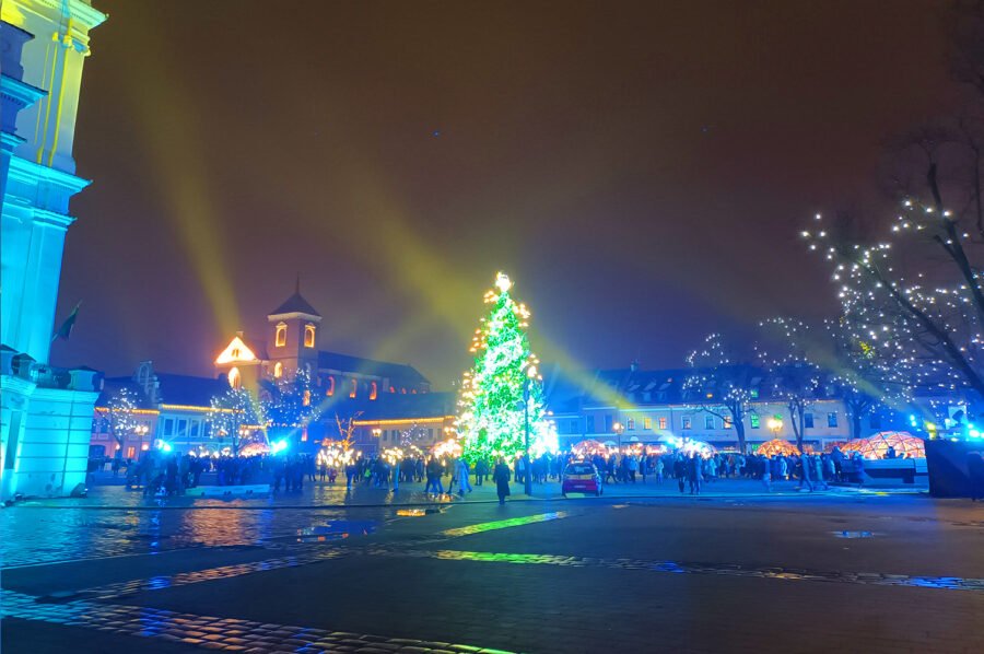 Exhibition of 3D stereograms "Garden of Paradise" in kaunas town hall square