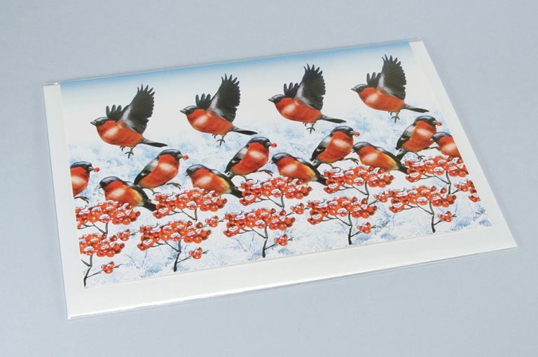 Bullfinches – 3D Stereogram Greeting Card with Envelope